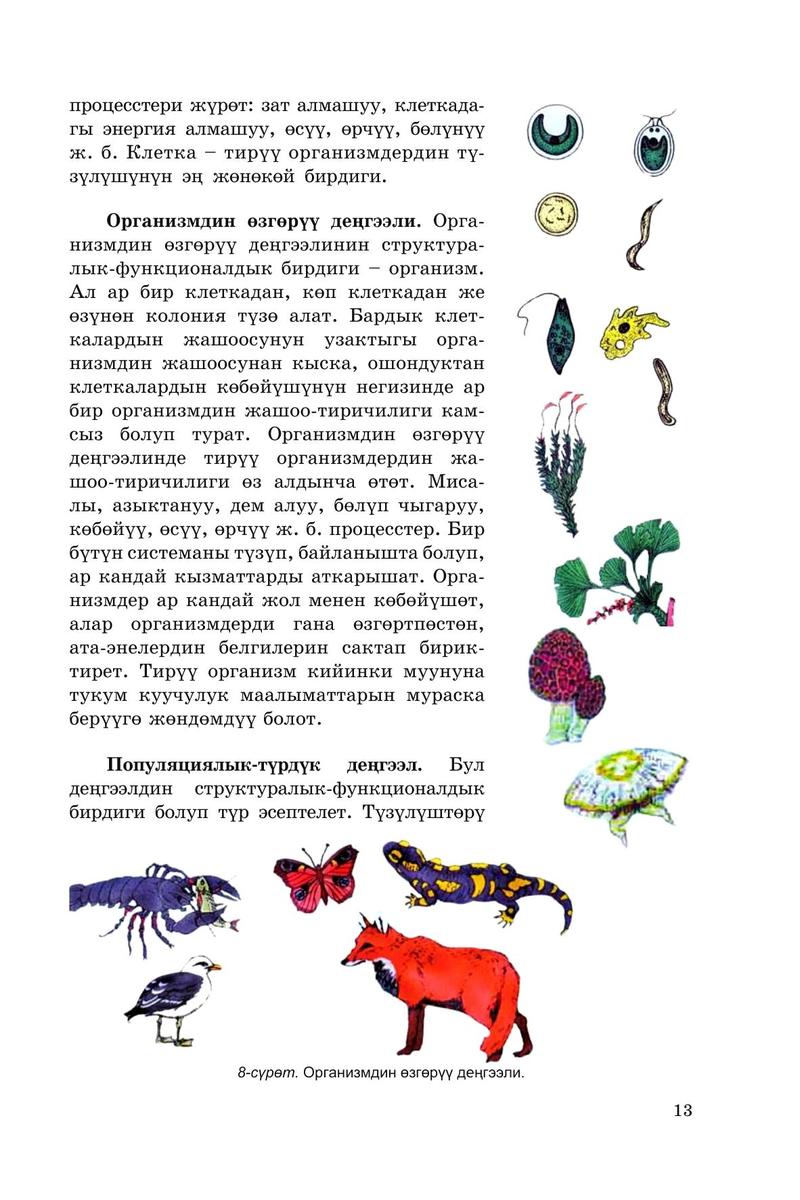 Жаңадан бастаушыларға арналған жыныстық позициялар қалыңдықты ауыстыру